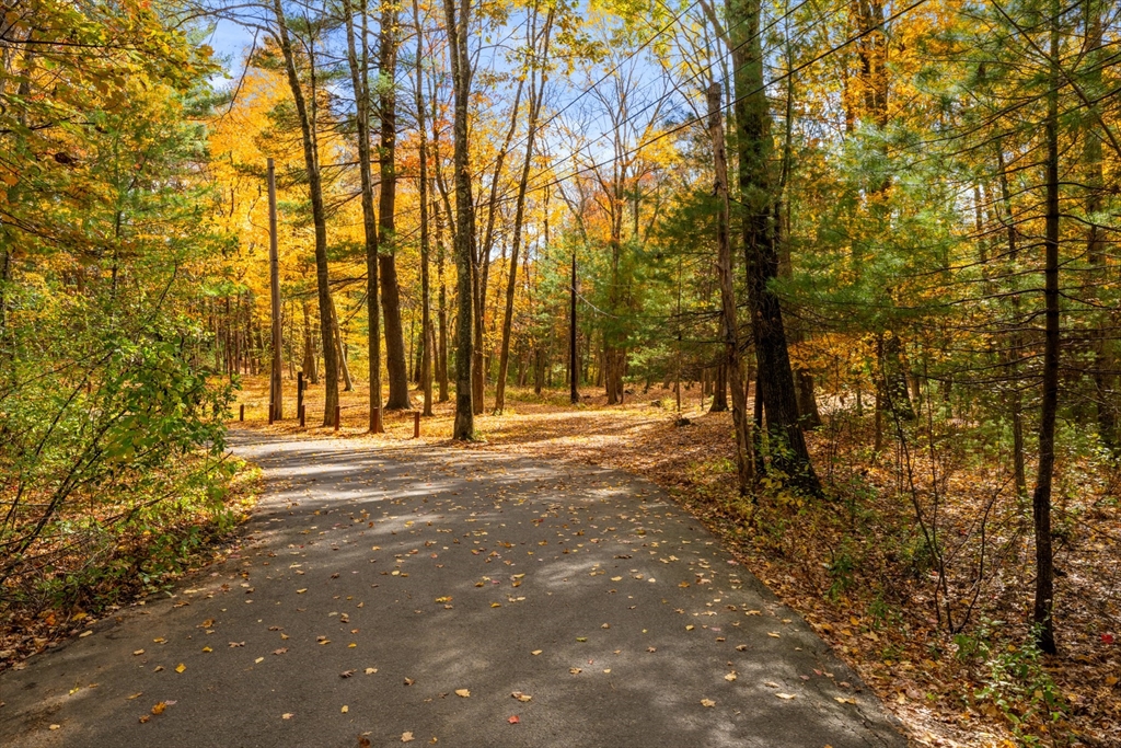 69 Page Road Lincoln, MA 01773 - Photo 13 of 13 a view of a yard with trees