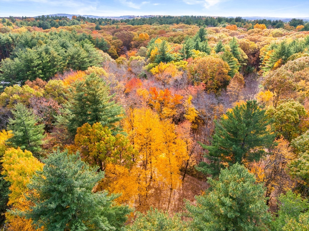 69 Page Road Lincoln, MA 01773 - Photo 5 of 13 an aerial view of residential houses with outdoor space and trees