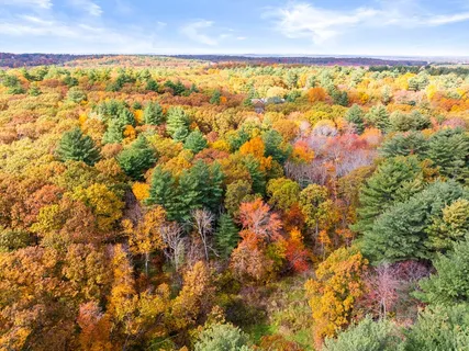 a view of city and green space