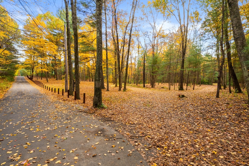 69 Page Road Lincoln, MA 01773 - Photo 8 of 13 a view of outdoor space with a street view