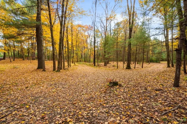 a backyard of a house with lots of plants and large trees