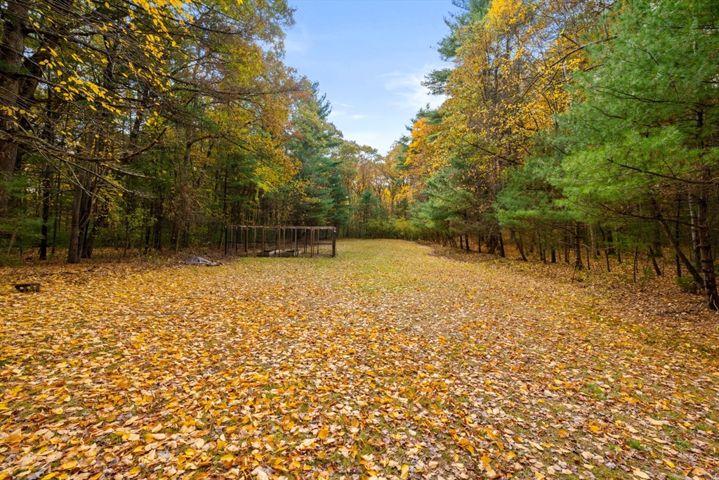 69 Page Road Lincoln, MA 01773 - Photo 10 of 13 a backyard of a house with lots of plants and large trees