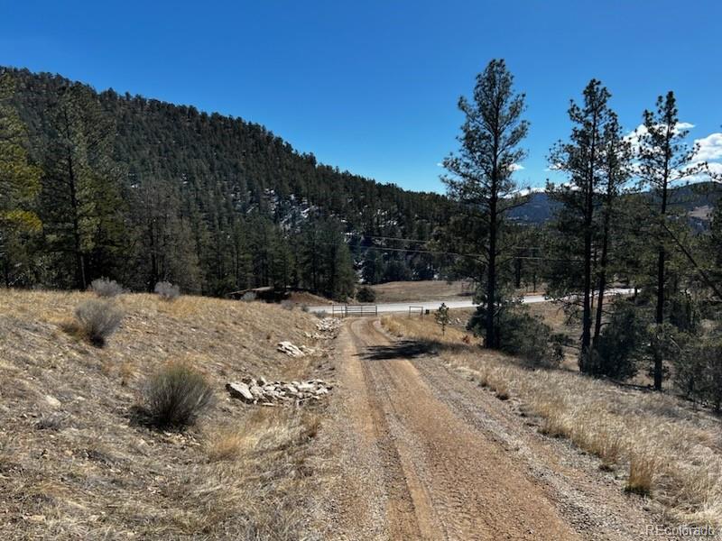 23.3 County Road Weston, CO 81091 - Photo 1 of 38 a view of a yard with a tree