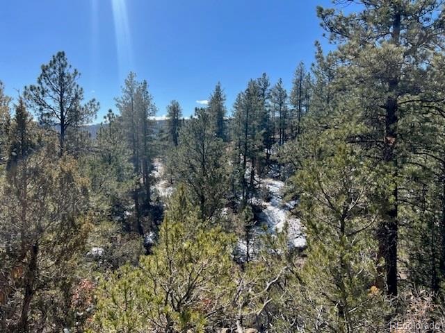 23.3 County Road Weston, CO 81091 - Photo 23 of 38 a view of a city with lush green forest