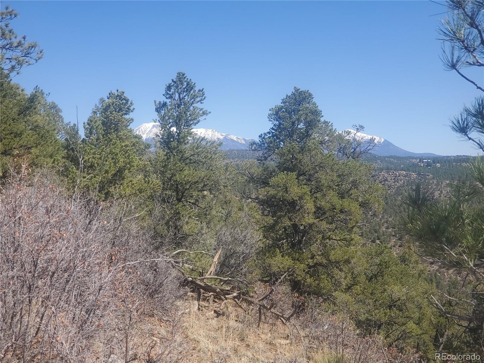 23.3 County Road Weston, CO 81091 - Photo 5 of 38 a big yard with lots of green space