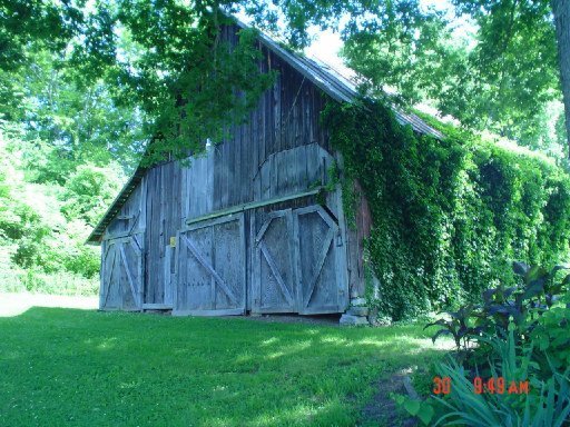 422 Trigonia Road Greenback, TN 37742 - Photo 29 of 39 Additional Photo