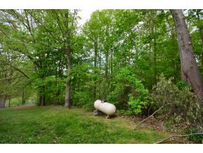 296 D Droke Road Piney Flats, TN 37686 - Photo 24 of 24 Photo 24