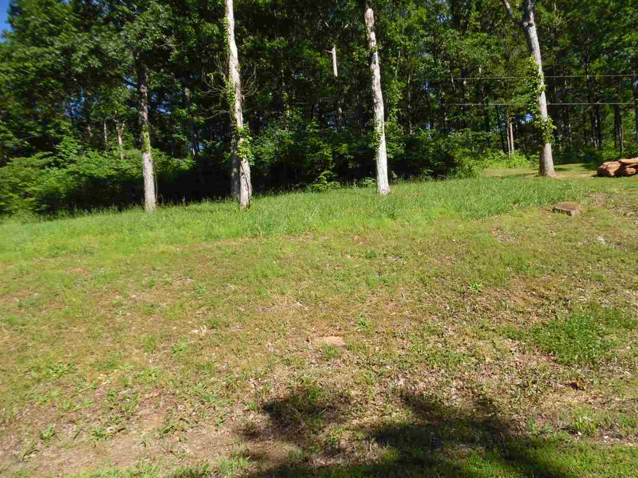 0 Adam Loop Bath Springs, TN 38311 - Photo 11 of 12 a view of green field with trees in the background