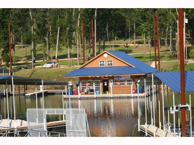 0 Adam Loop Bath Springs, TN 38311 - Photo 12 of 12 a view of swimming pool with a yard