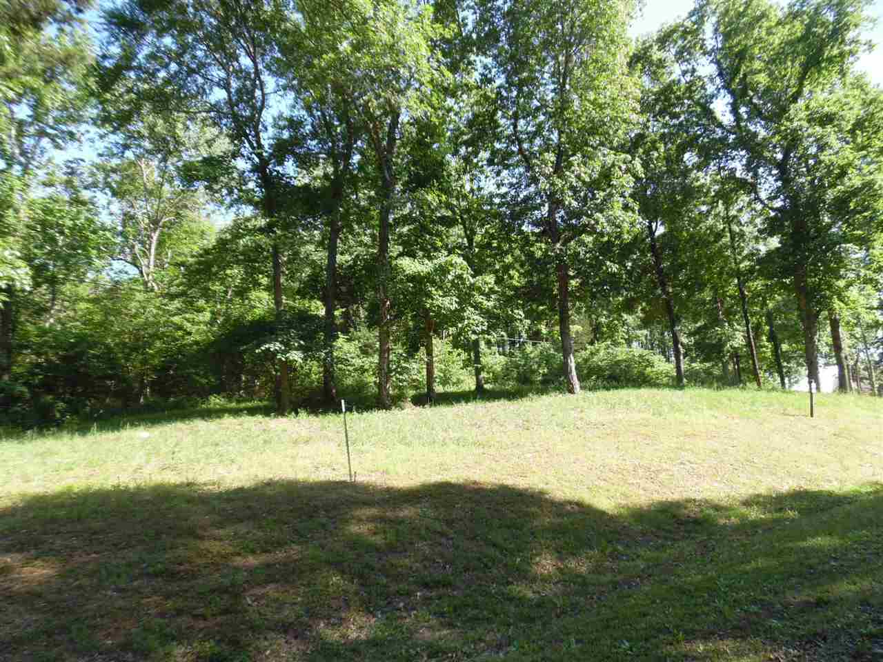 0 Adam Loop Bath Springs, TN 38311 - Photo 3 of 12 a view of an outdoor space and a yard