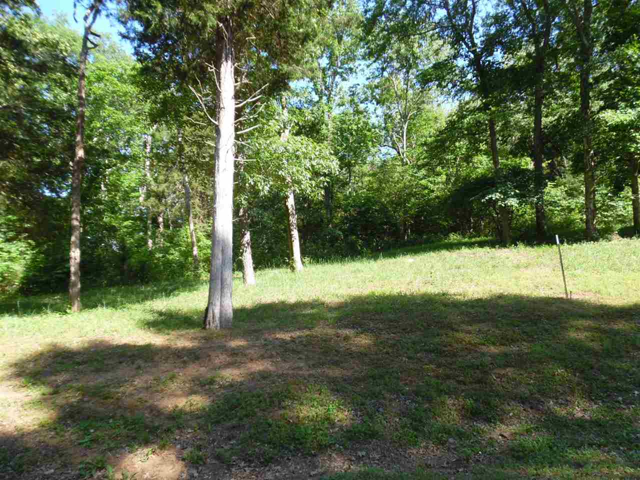 0 Adam Loop Bath Springs, TN 38311 - Photo 4 of 12 a view of open space with a garden