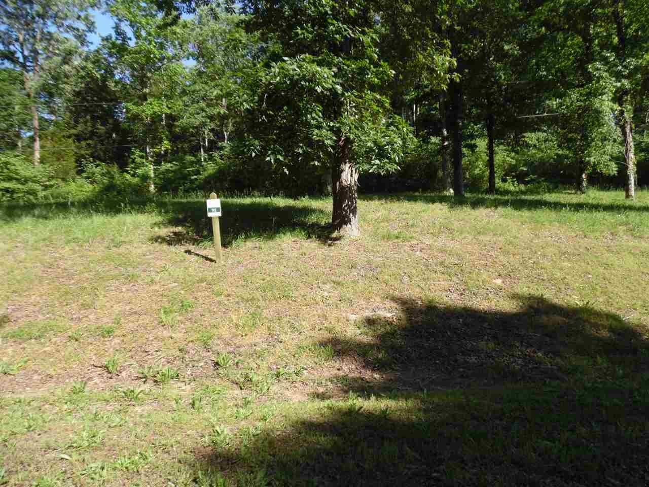 0 Adam Loop Bath Springs, TN 38311 - Photo 7 of 12 a backyard of a house with lots of green space