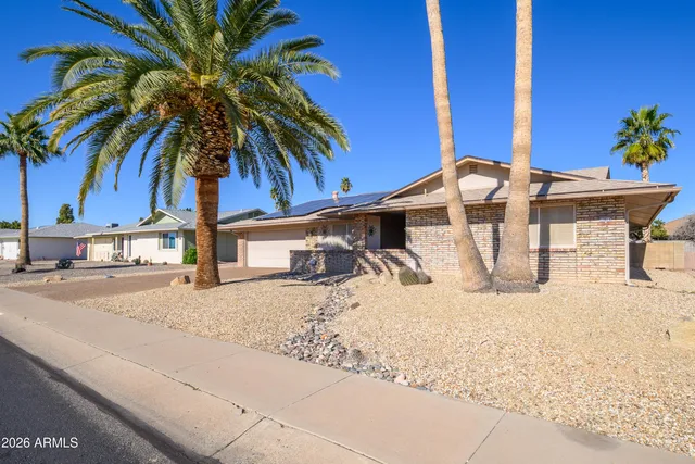 a view of a backyard with a barbeque grill and palm trees