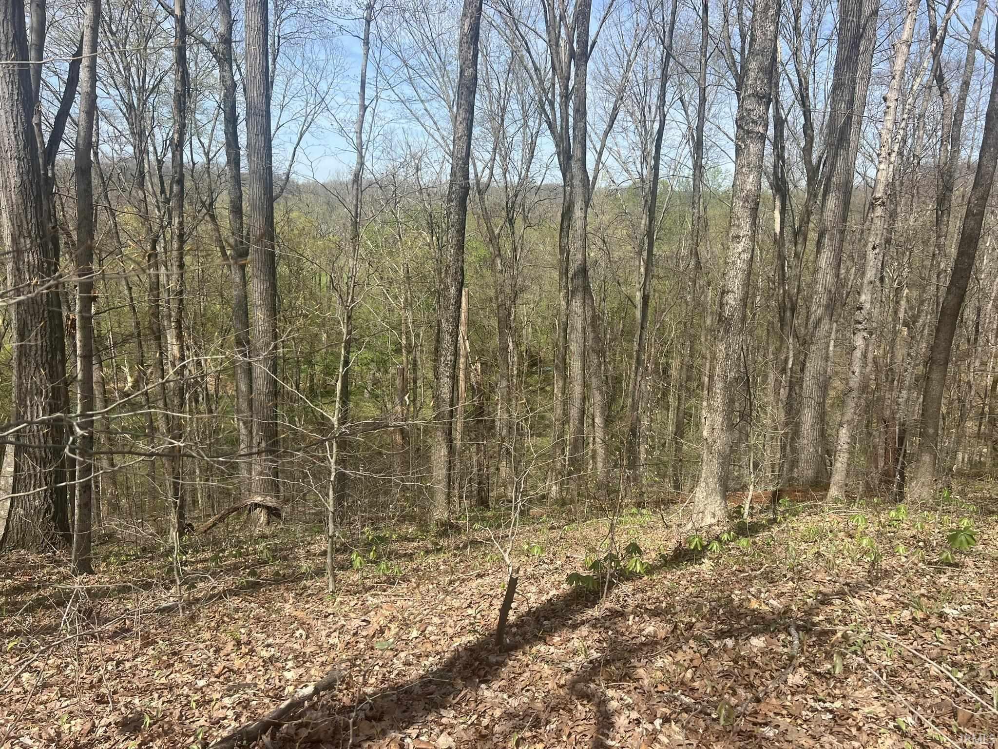 Lower Schooner Road Nashville, IN 47448 - Photo 11 of 31