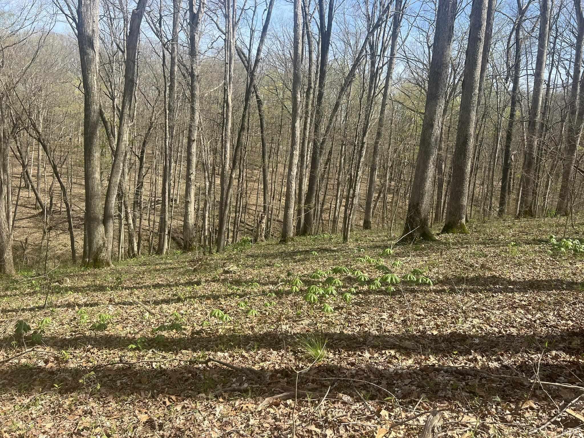 Lower Schooner Road Nashville, IN 47448 - Photo 12 of 31