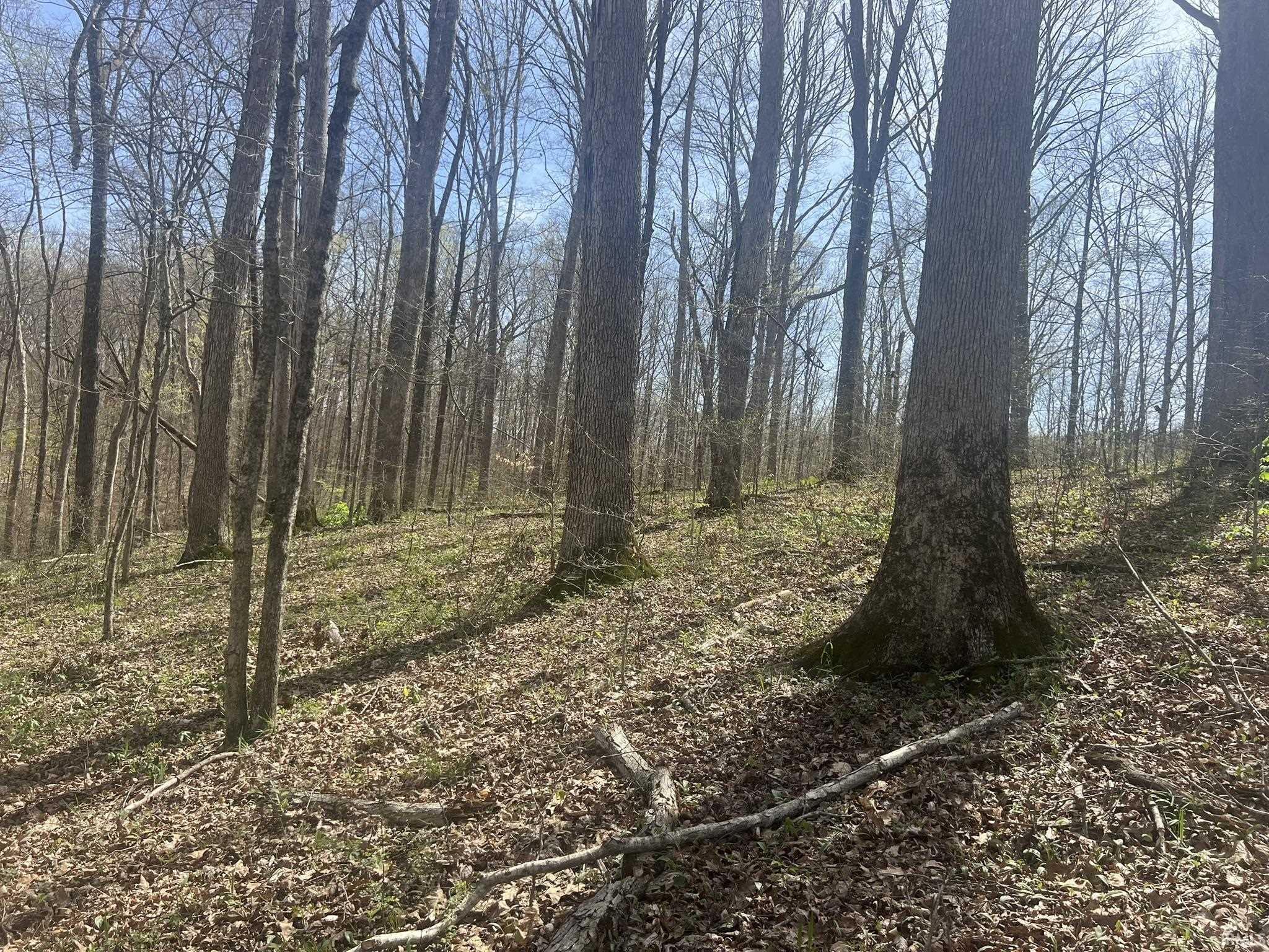 Lower Schooner Road Nashville, IN 47448 - Photo 13 of 31