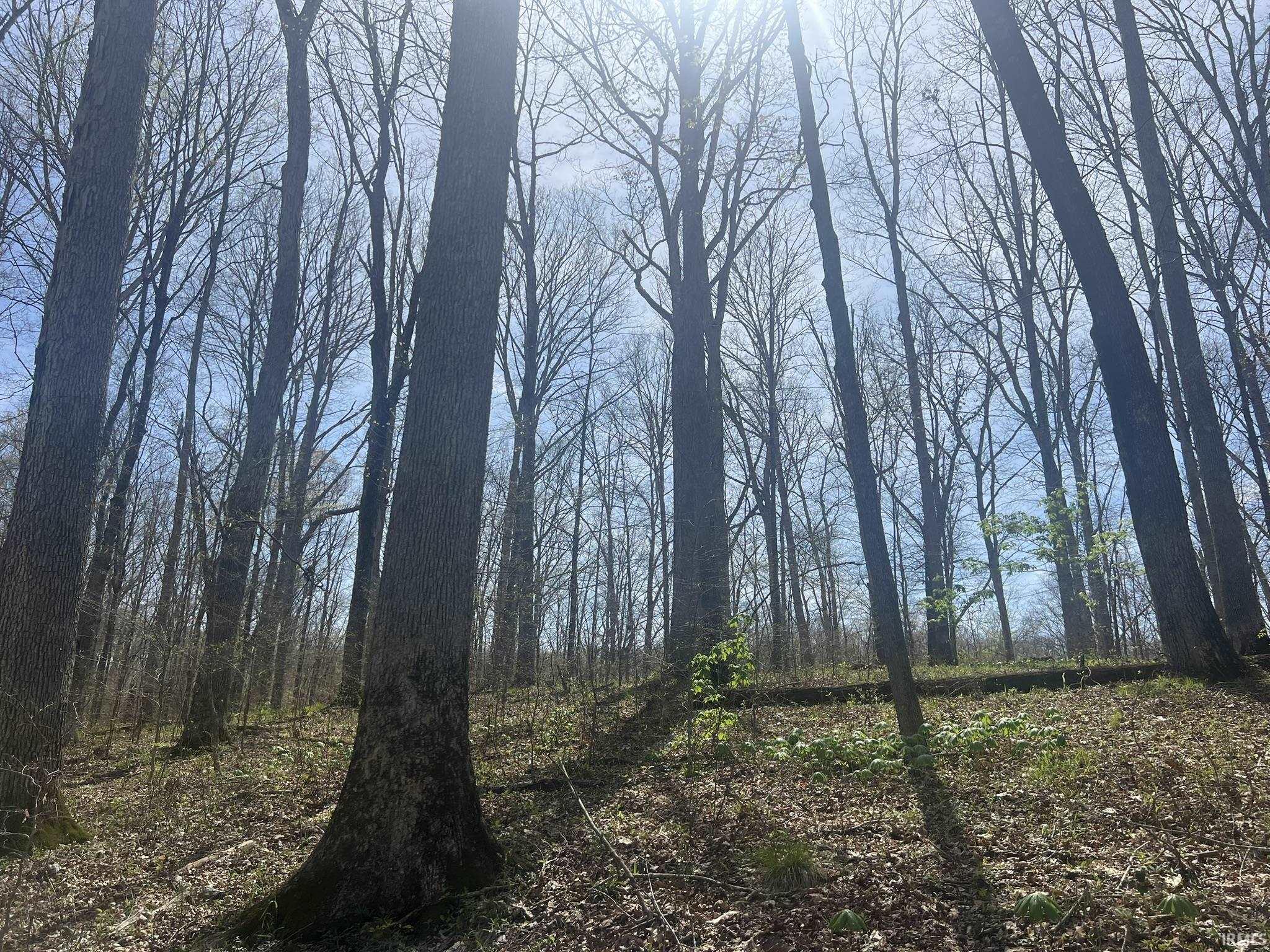 Lower Schooner Road Nashville, IN 47448 - Photo 14 of 31