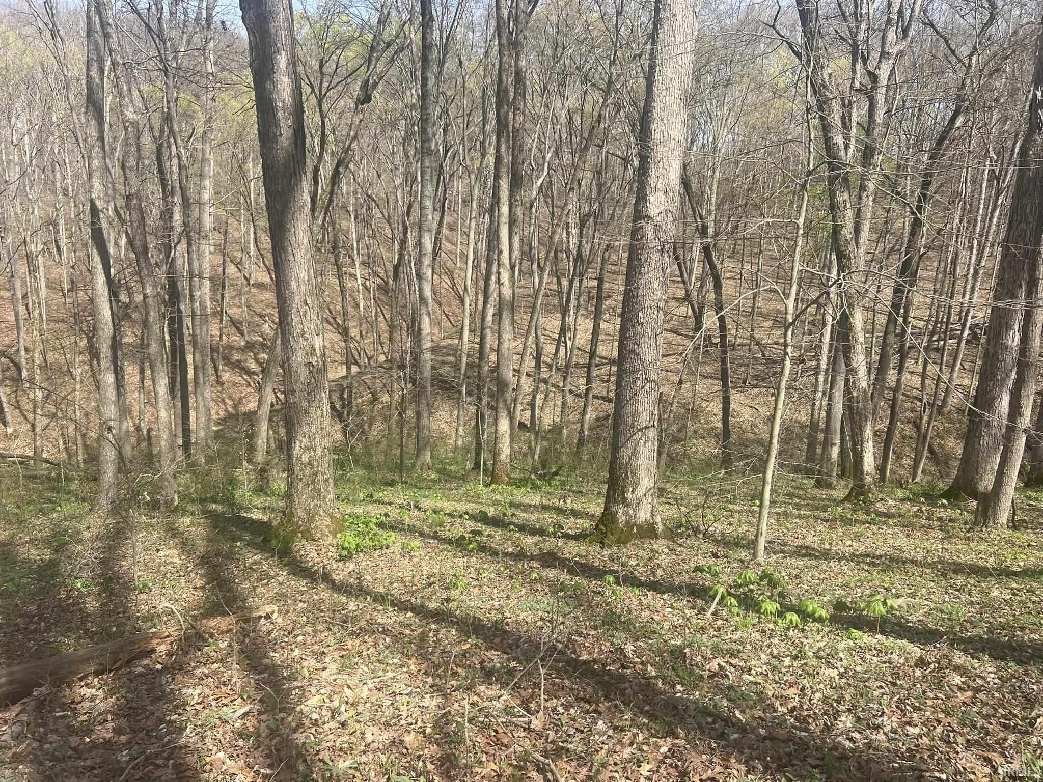 Lower Schooner Road Nashville, IN 47448 - Photo 15 of 31