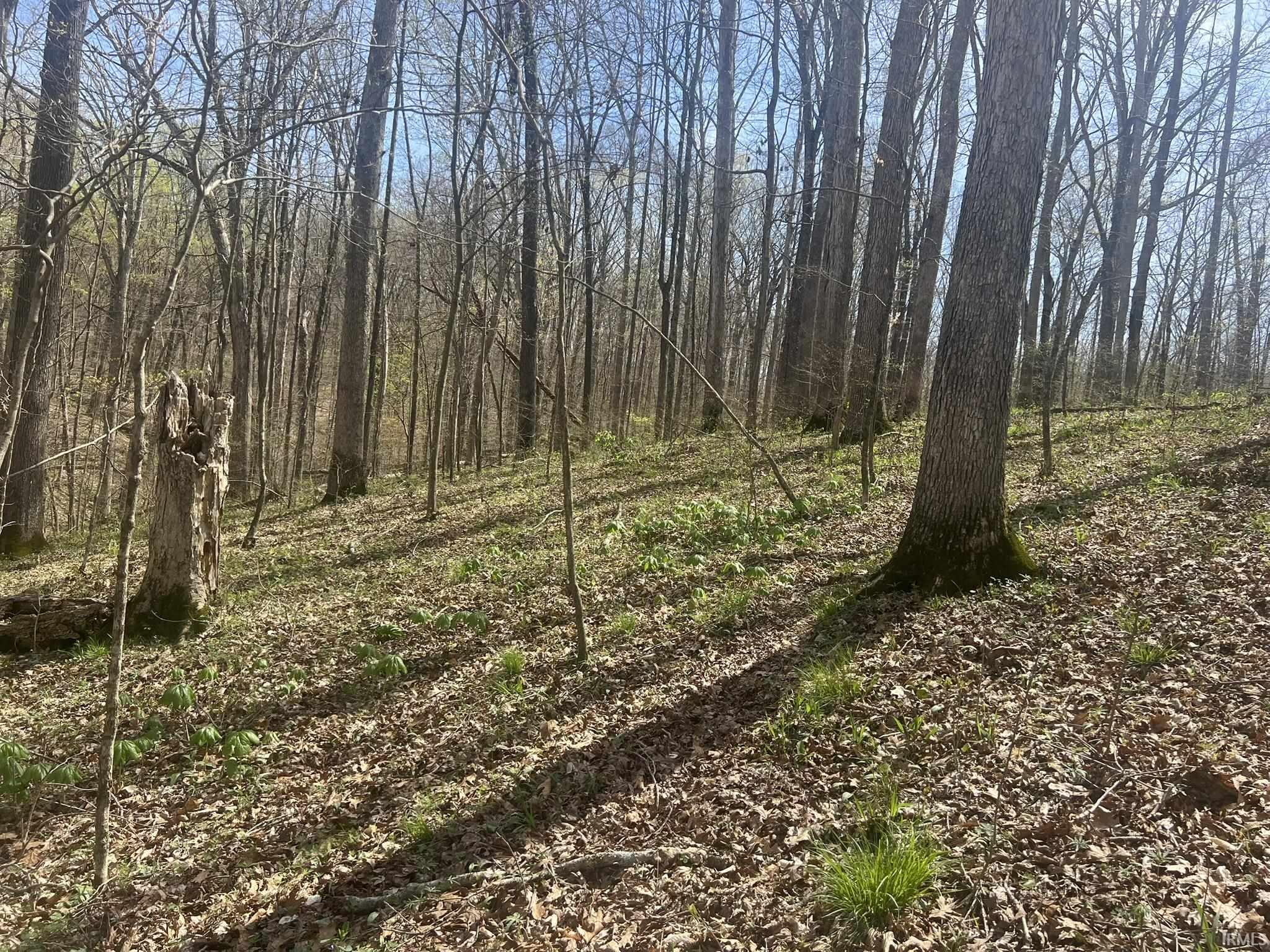 Lower Schooner Road Nashville, IN 47448 - Photo 16 of 31