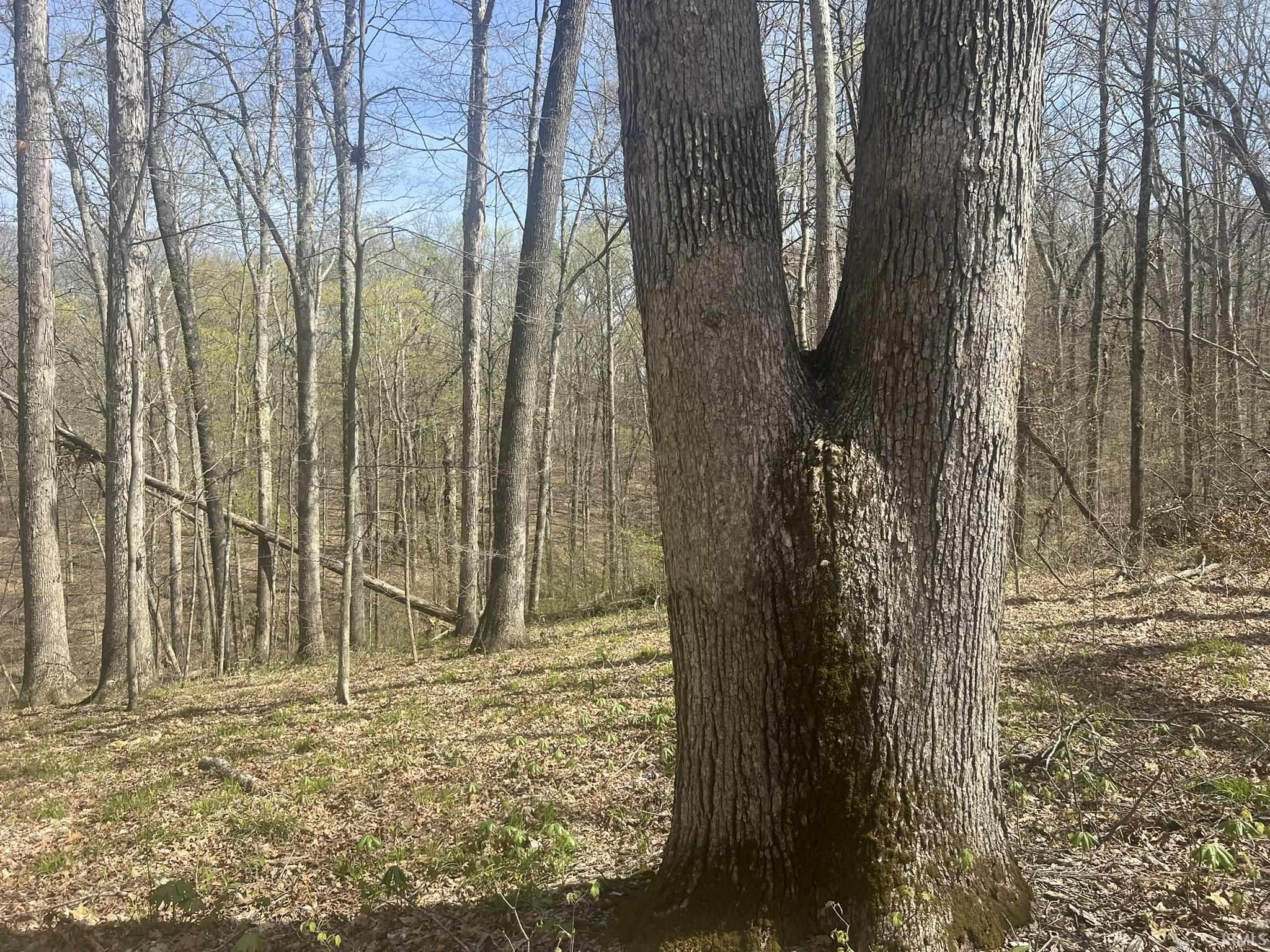 Lower Schooner Road Nashville, IN 47448 - Photo 17 of 31