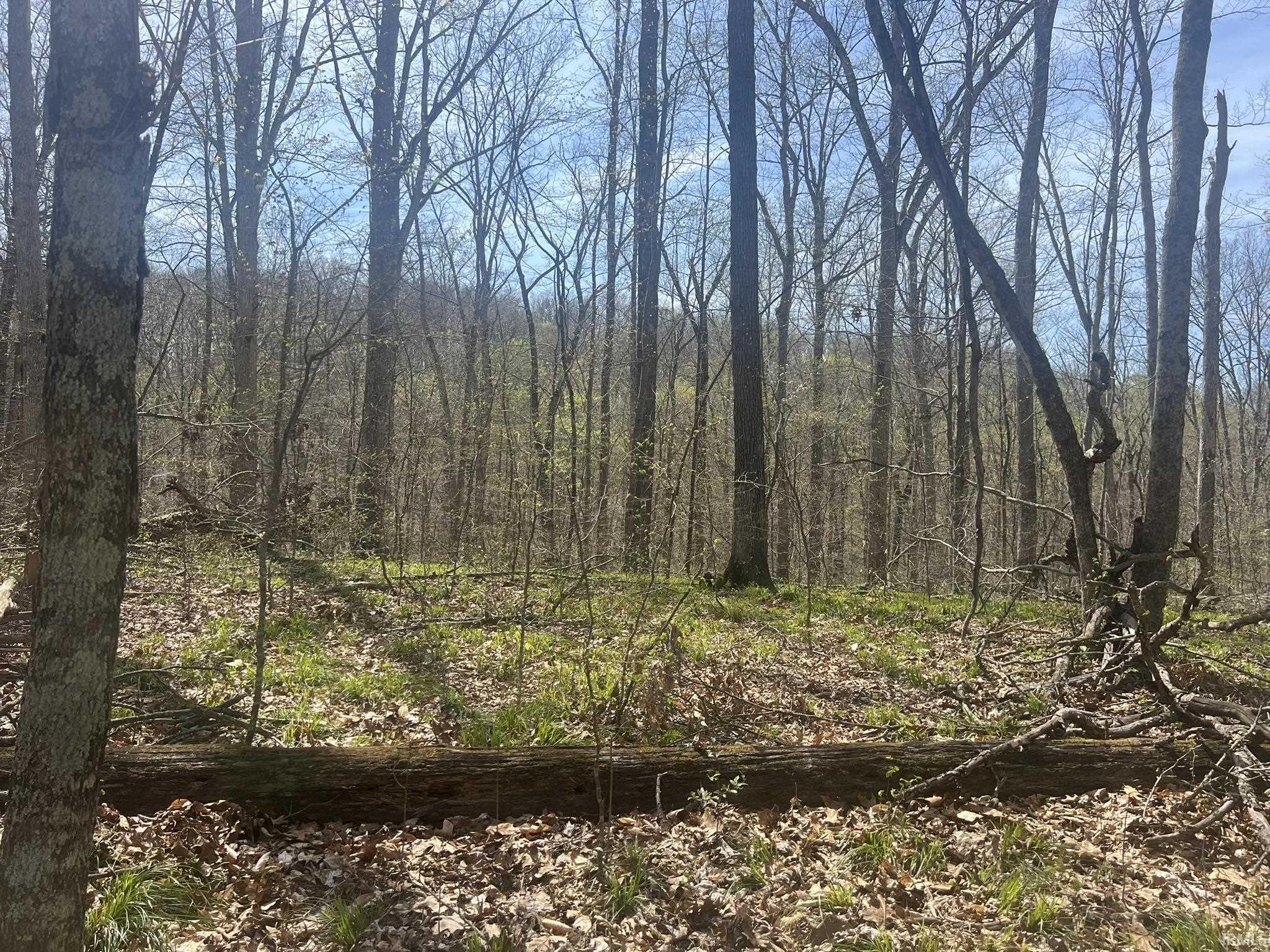 Lower Schooner Road Nashville, IN 47448 - Photo 19 of 31