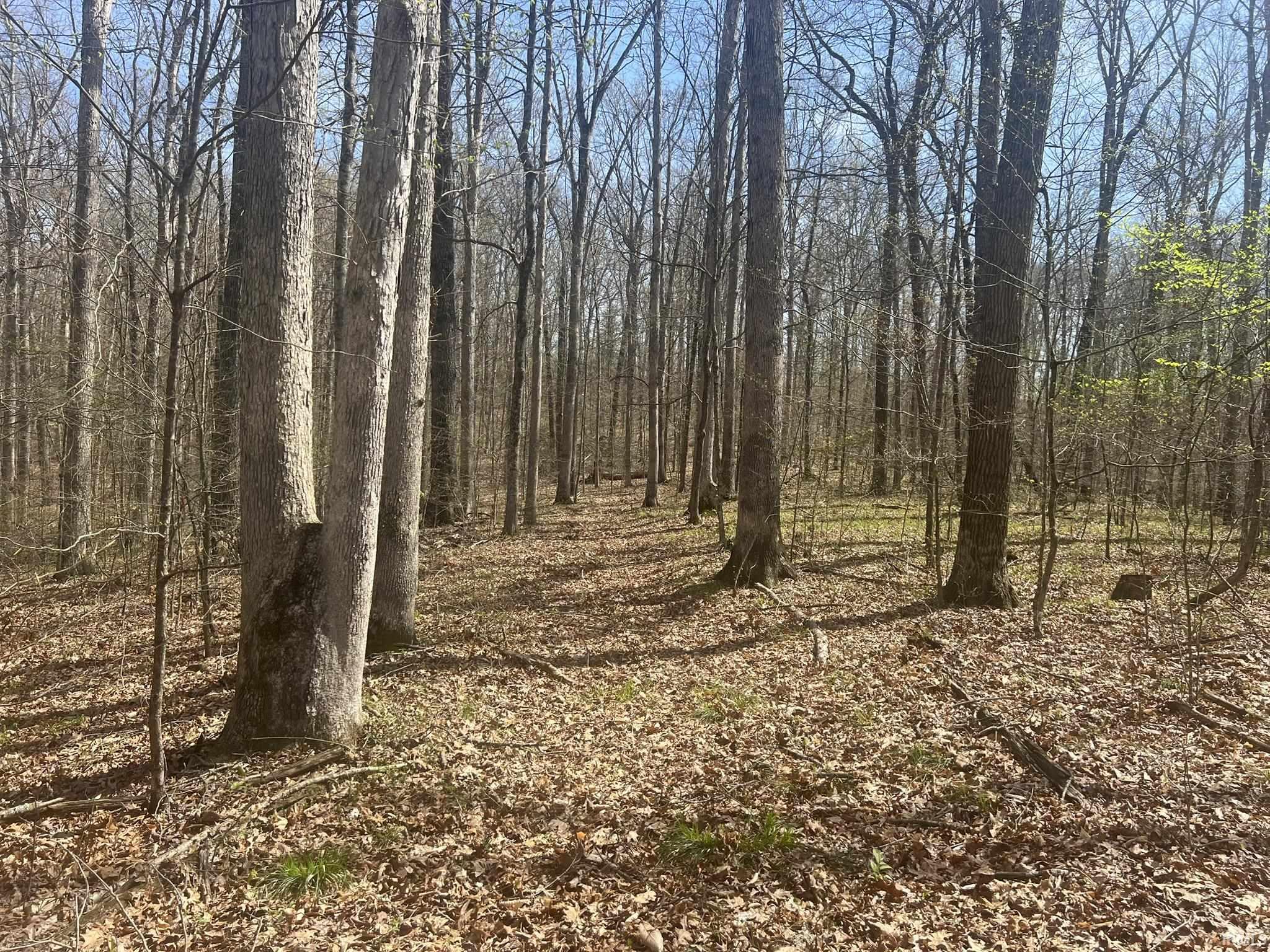 Lower Schooner Road Nashville, IN 47448 - Photo 20 of 31