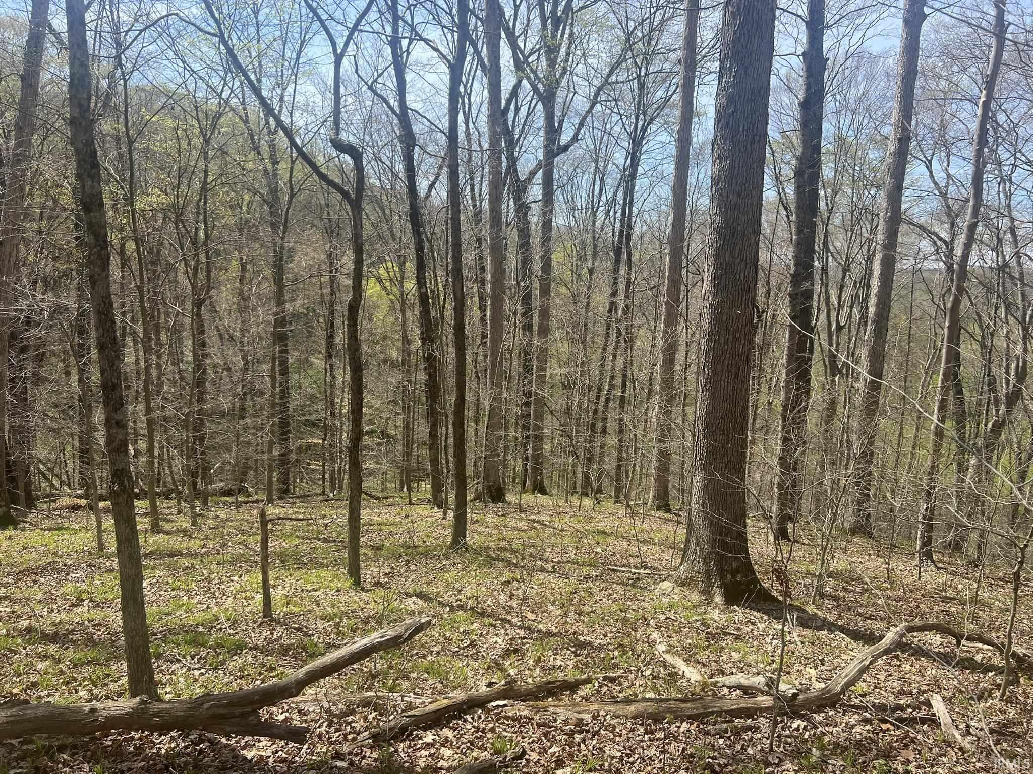 Lower Schooner Road Nashville, IN 47448 - Photo 6 of 31