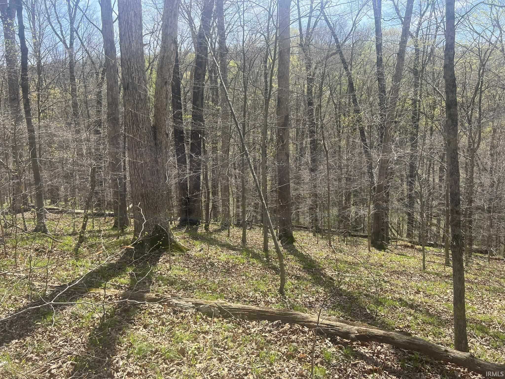 Lower Schooner Road Nashville, IN 47448 - Photo 7 of 31