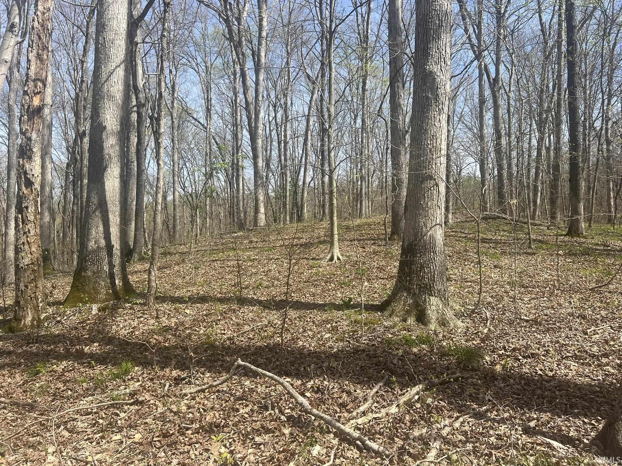 Lower Schooner Road Nashville, IN 47448 - Photo 8 of 31