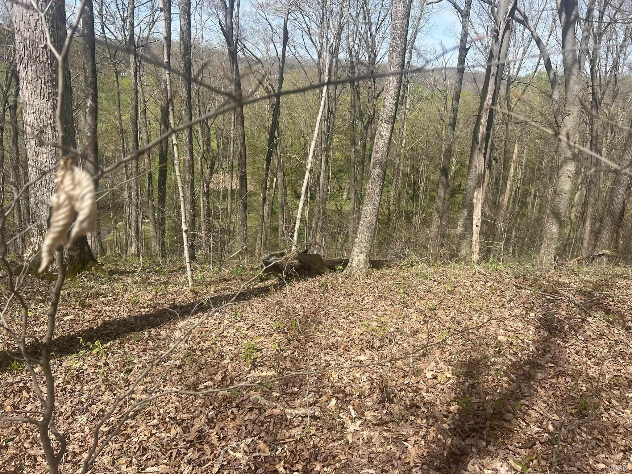 Lower Schooner Road Nashville, IN 47448 - Photo 9 of 31