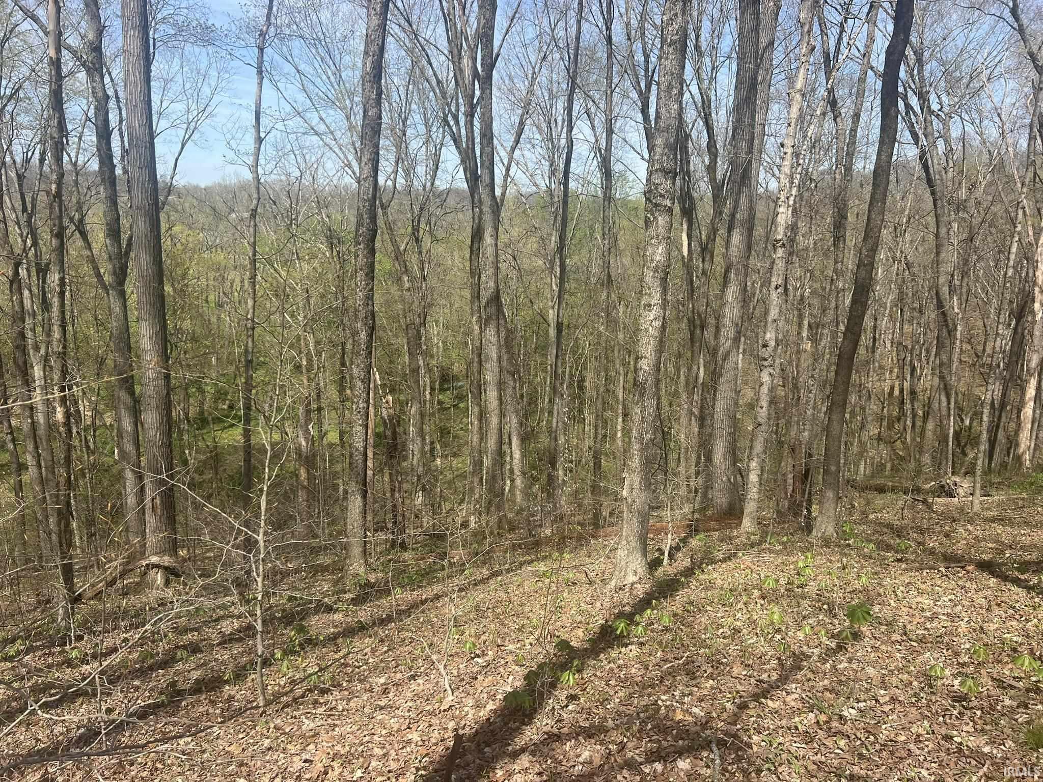 Lower Schooner Road Nashville, IN 47448 - Photo 10 of 31