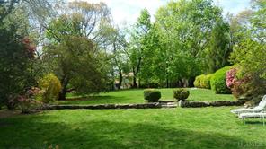 a view of garden with trees