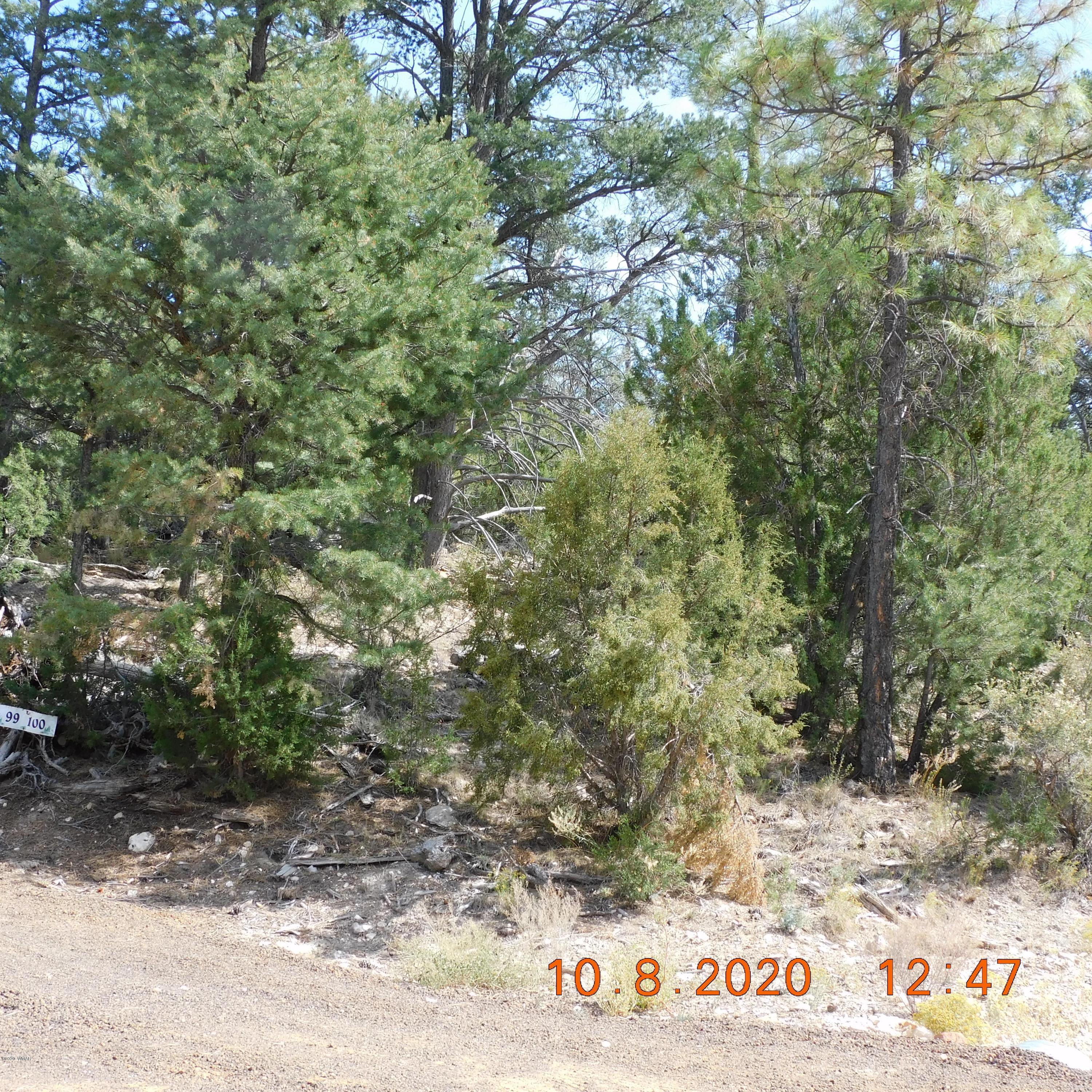 3333 Sawmill Ridge Loop Heber, AZ 85928 - Photo 2 of 3 Gallery Image 2