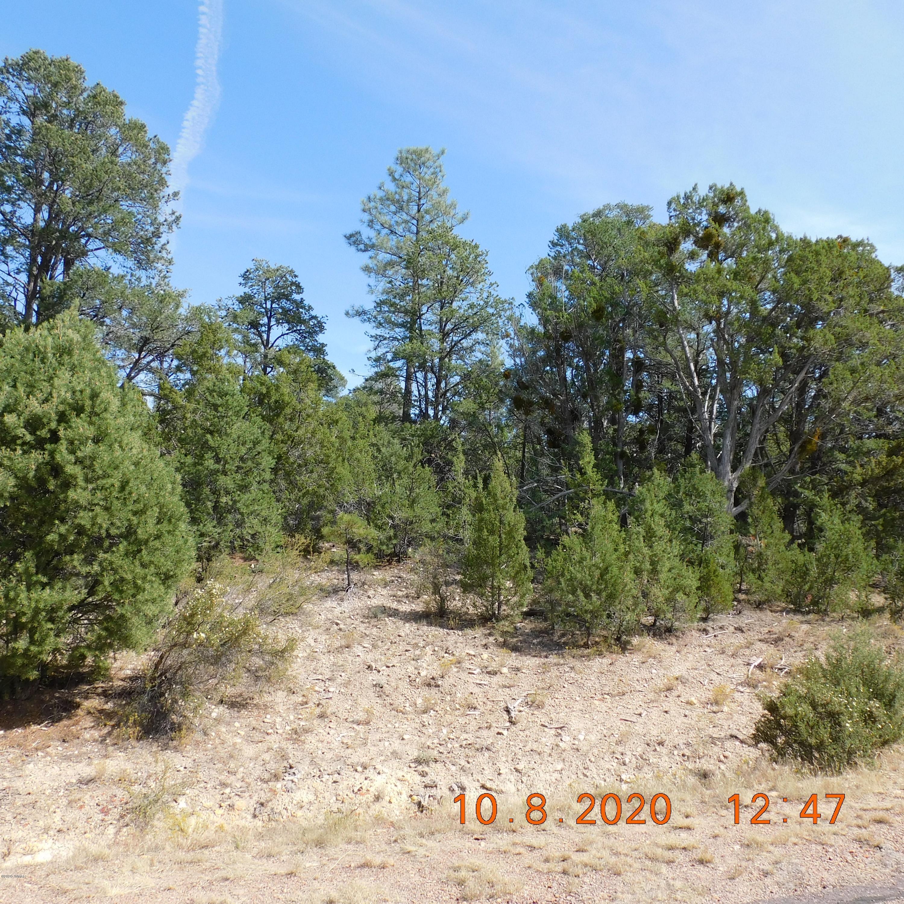 3333 Sawmill Ridge Loop Heber, AZ 85928 - Photo 3 of 3 Gallery Image 3