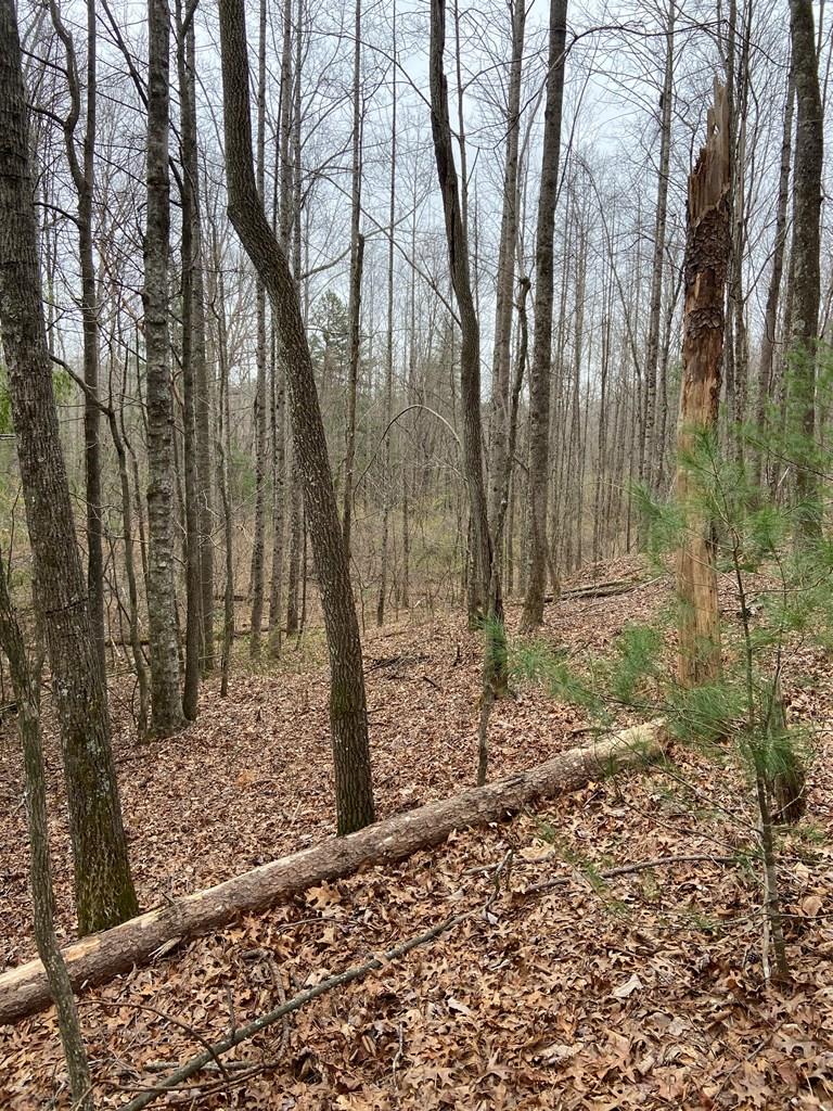 Tbd Ahart Ridge Road Ararat, VA 24053 - Photo 15 of 27 Gallery Image 15