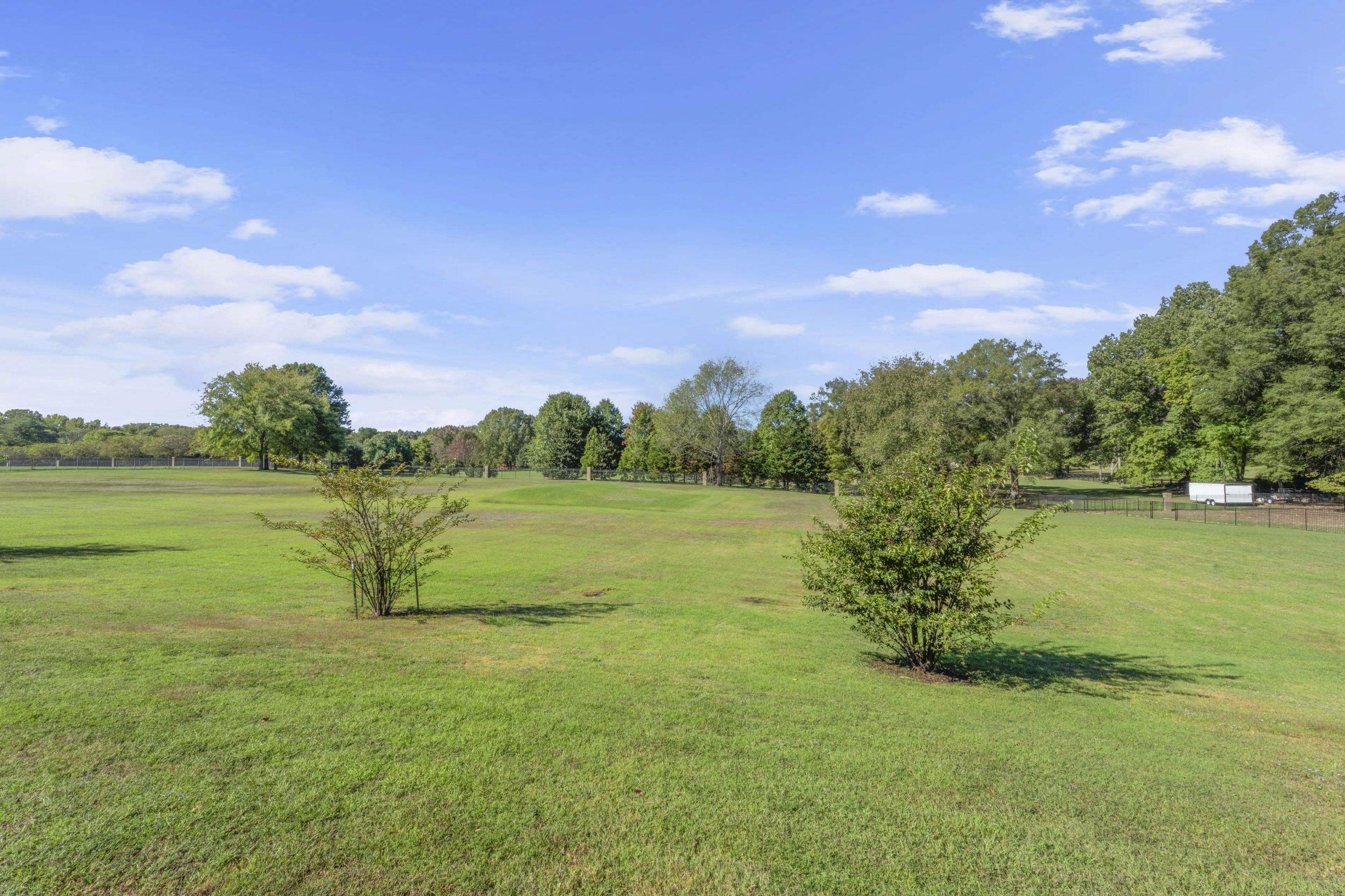 881 Bray Station Road Collierville, TN 38017 - Photo 30 of 40 a view of a lake with a house in the background