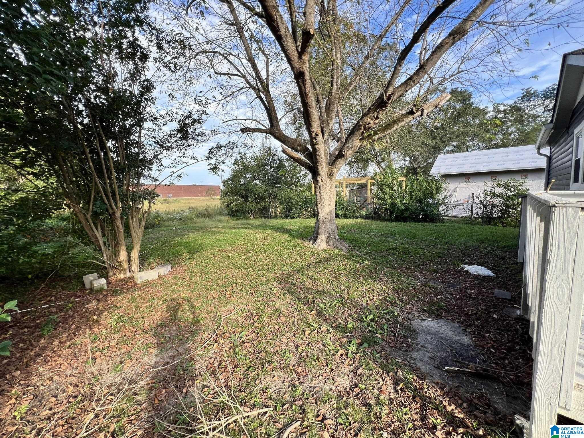 62 Robinson Street Jemison, AL 35085 - Photo 6 of 20