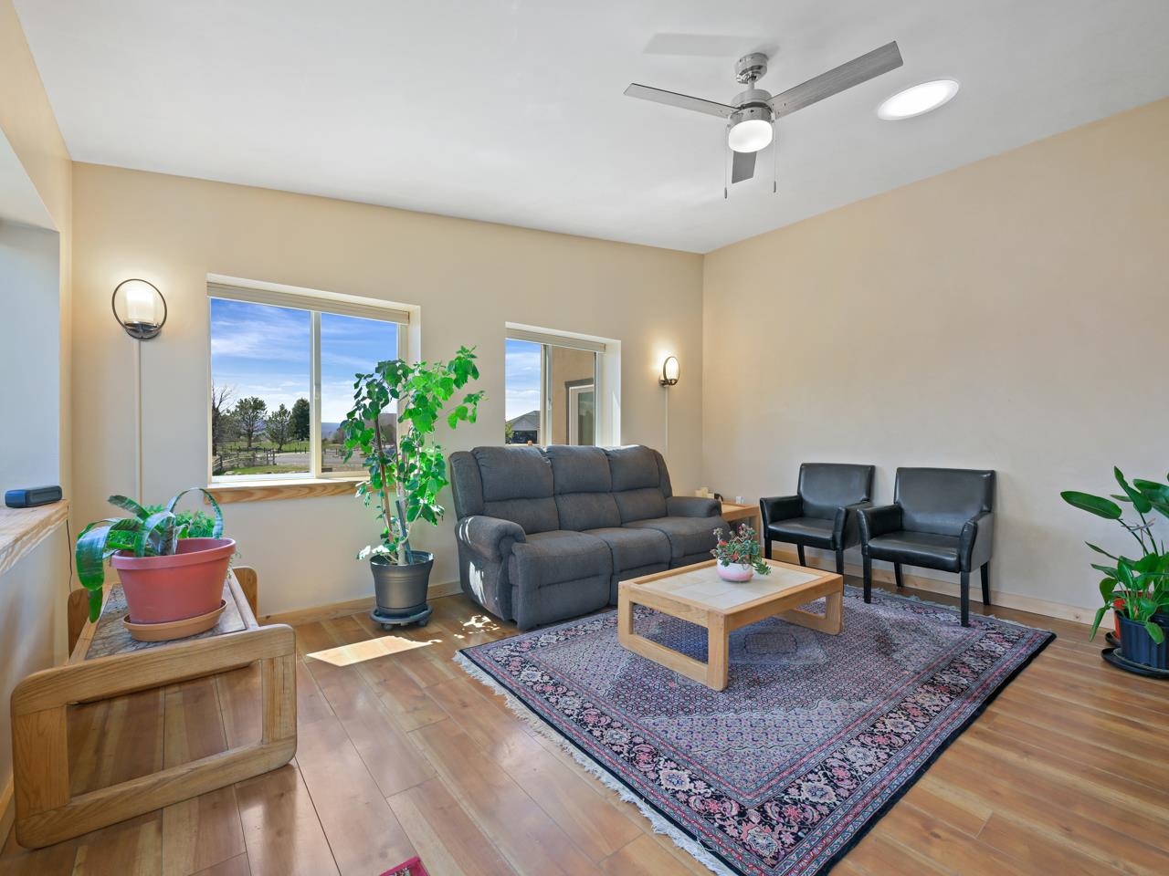2209 Hatton Place Montrose, CO 81401 - Photo 15 of 42 a living room with furniture and a rug