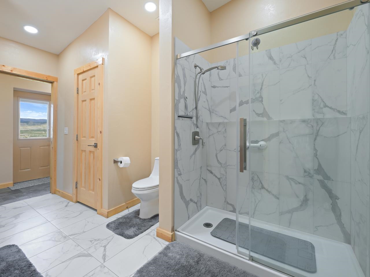 2209 Hatton Place Montrose, CO 81401 - Photo 28 of 42 a bathroom with a shower and a toilet