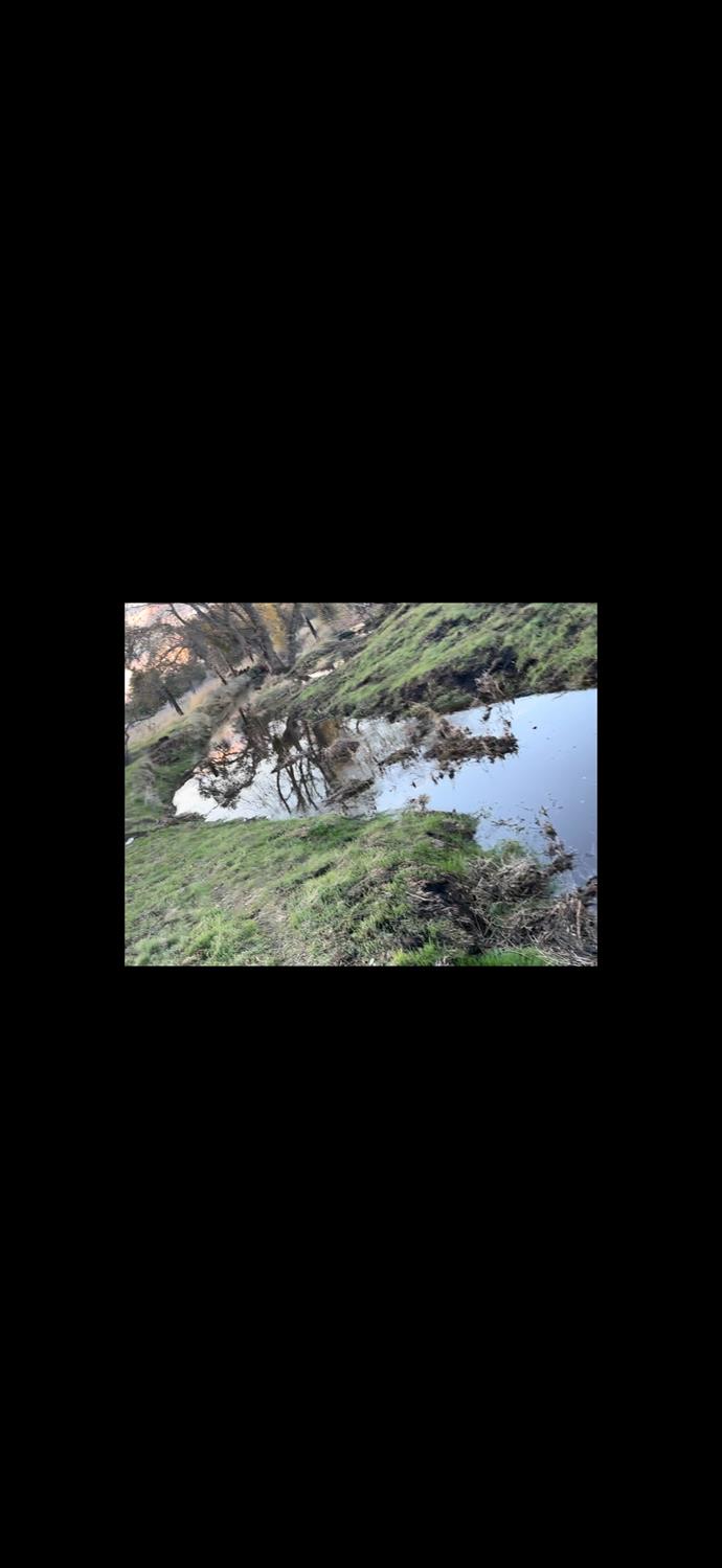 9881 Scenic Valley Road Valley Springs, CA 95252 - Photo 9 of 12