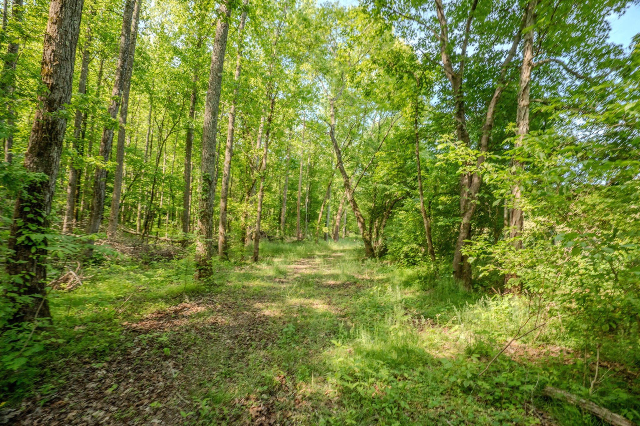 875 Waterloo Road Westpoint, TN 38486 - Photo 54 of 89 Gallery Image 54