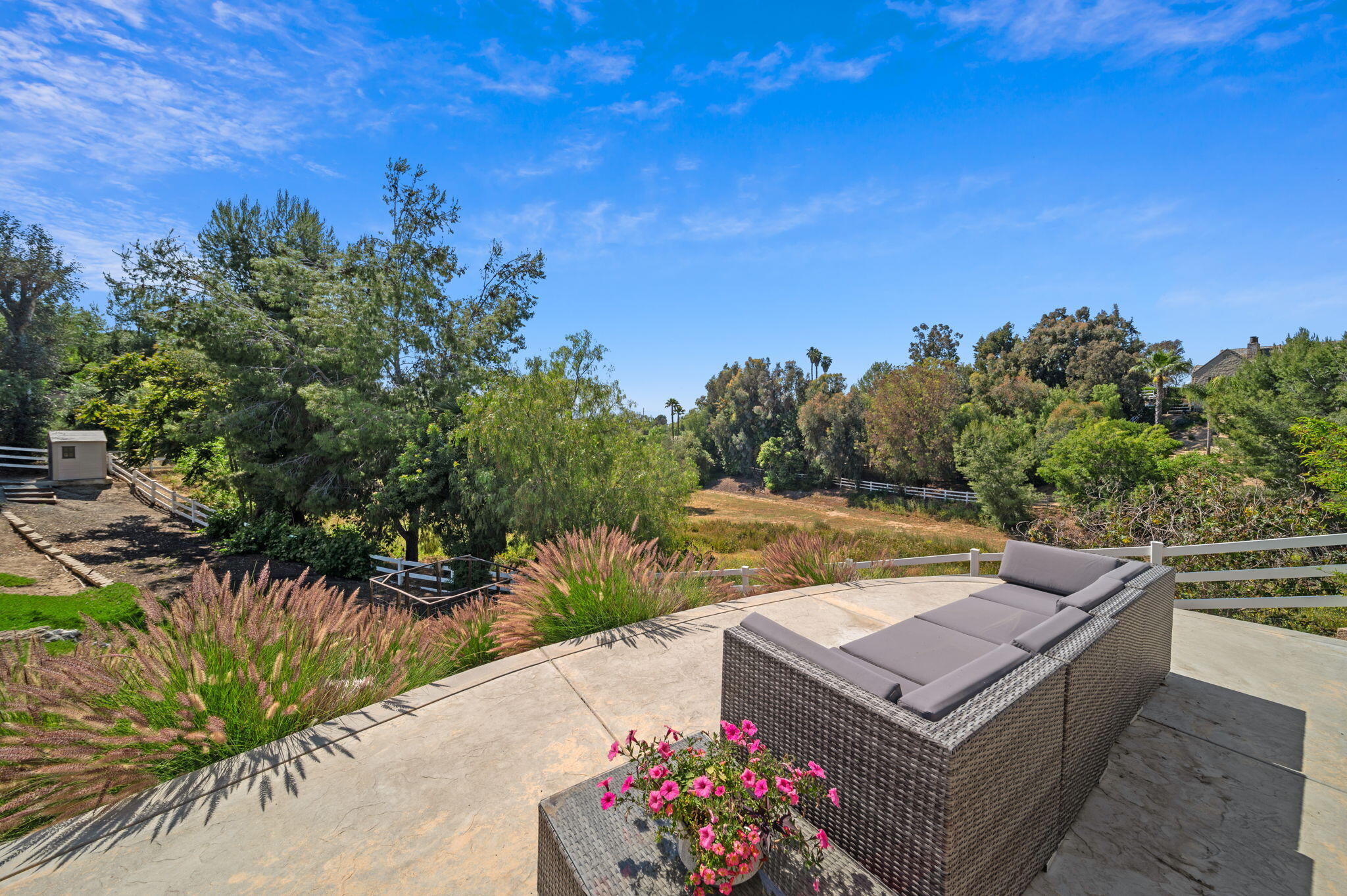 31098 Del Rey Road Temecula, CA 92591 - Photo 75 of 75 backyard view 5