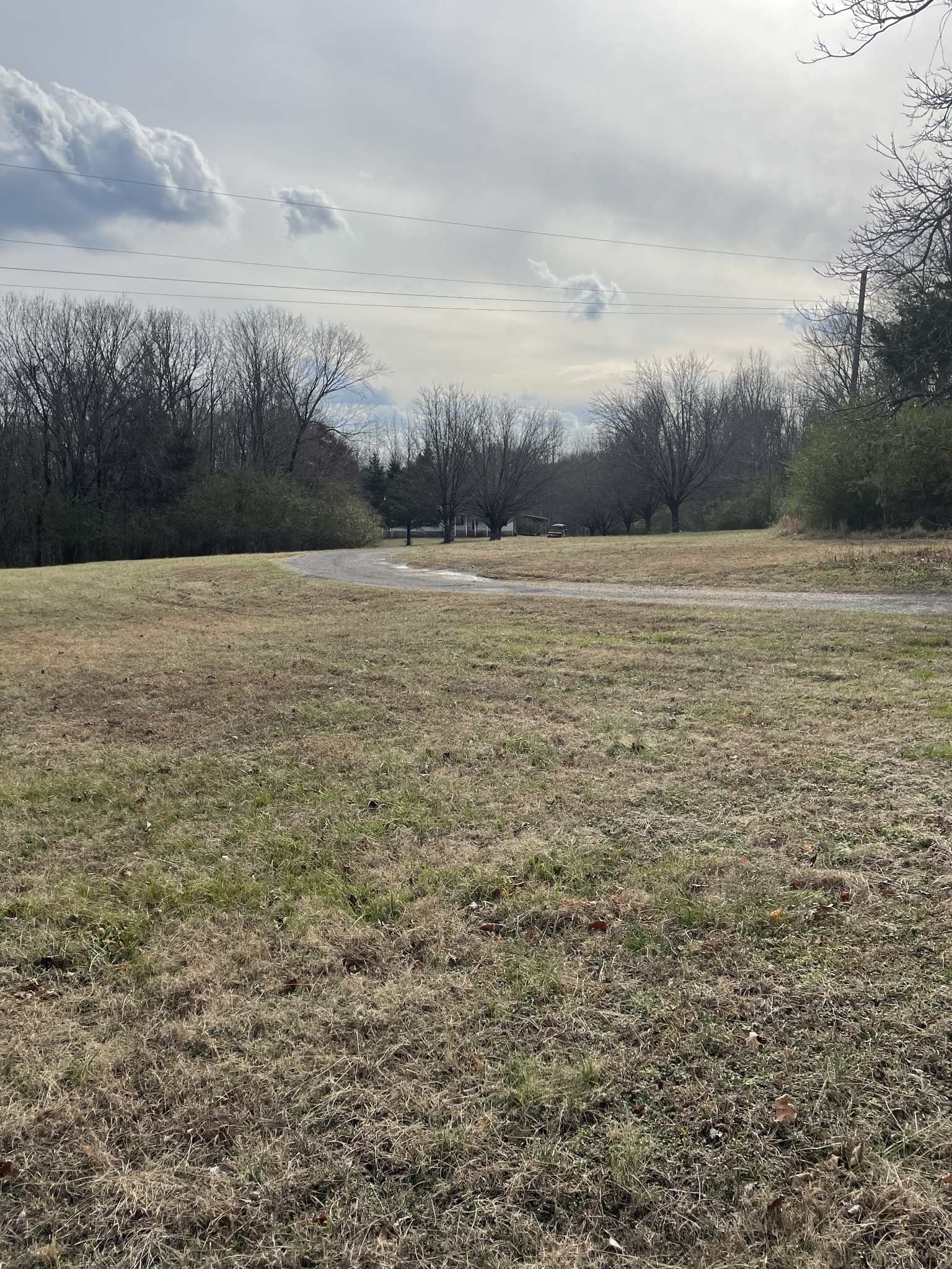 664 Old Dry Hollow Road Vanleer, TN 37181 - Photo 4 of 5