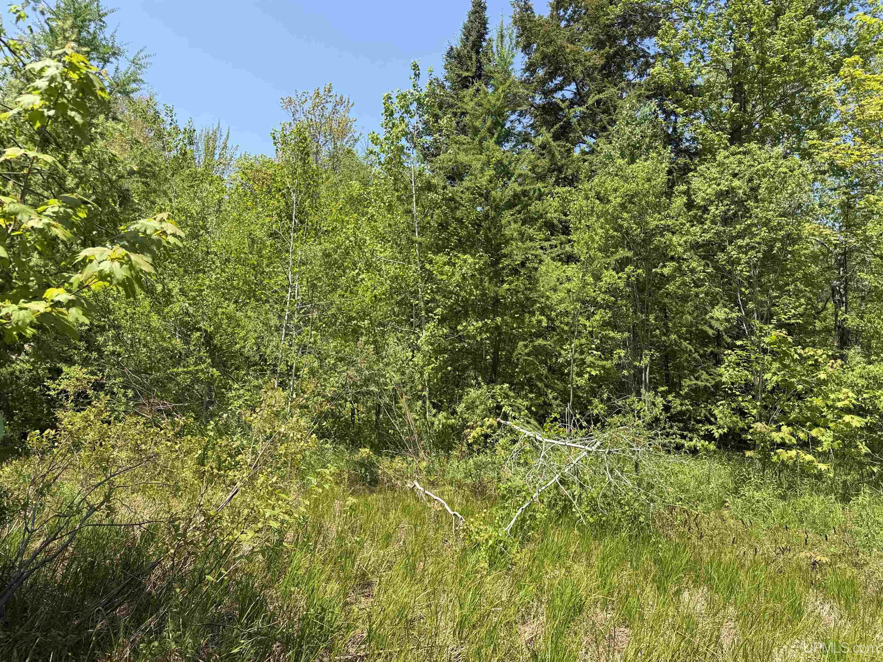 Off East Lake Road Ironwood, MI 49938 - Photo 16 of 30