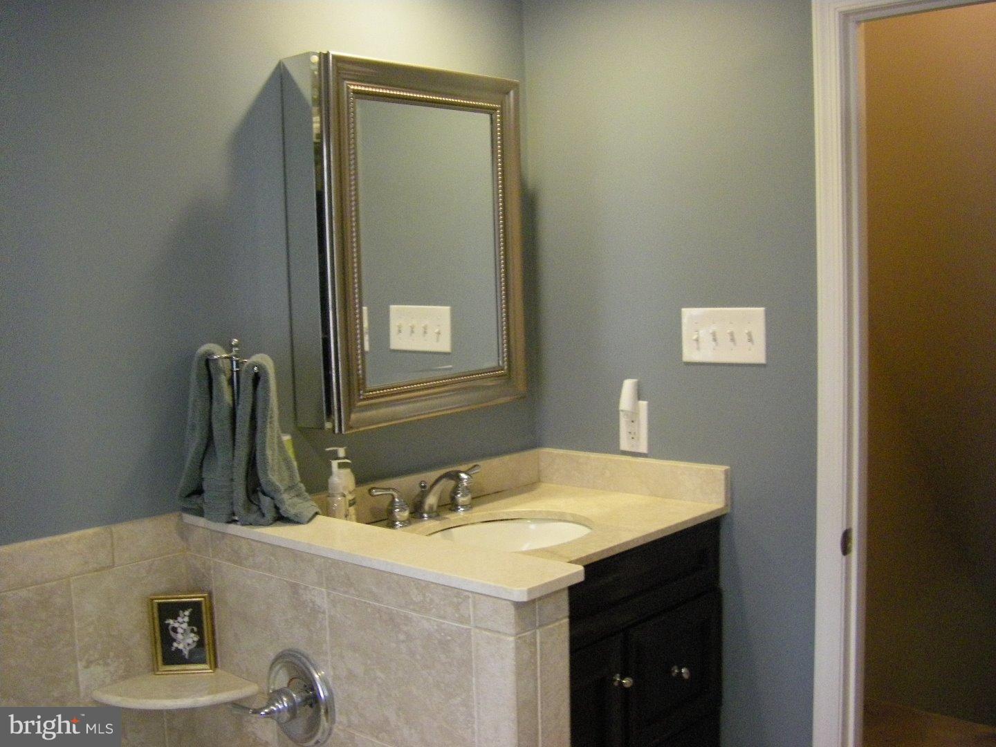 165 Friendship Road Drexel Hill, PA 19026 - Photo 24 of 25 Bathroom