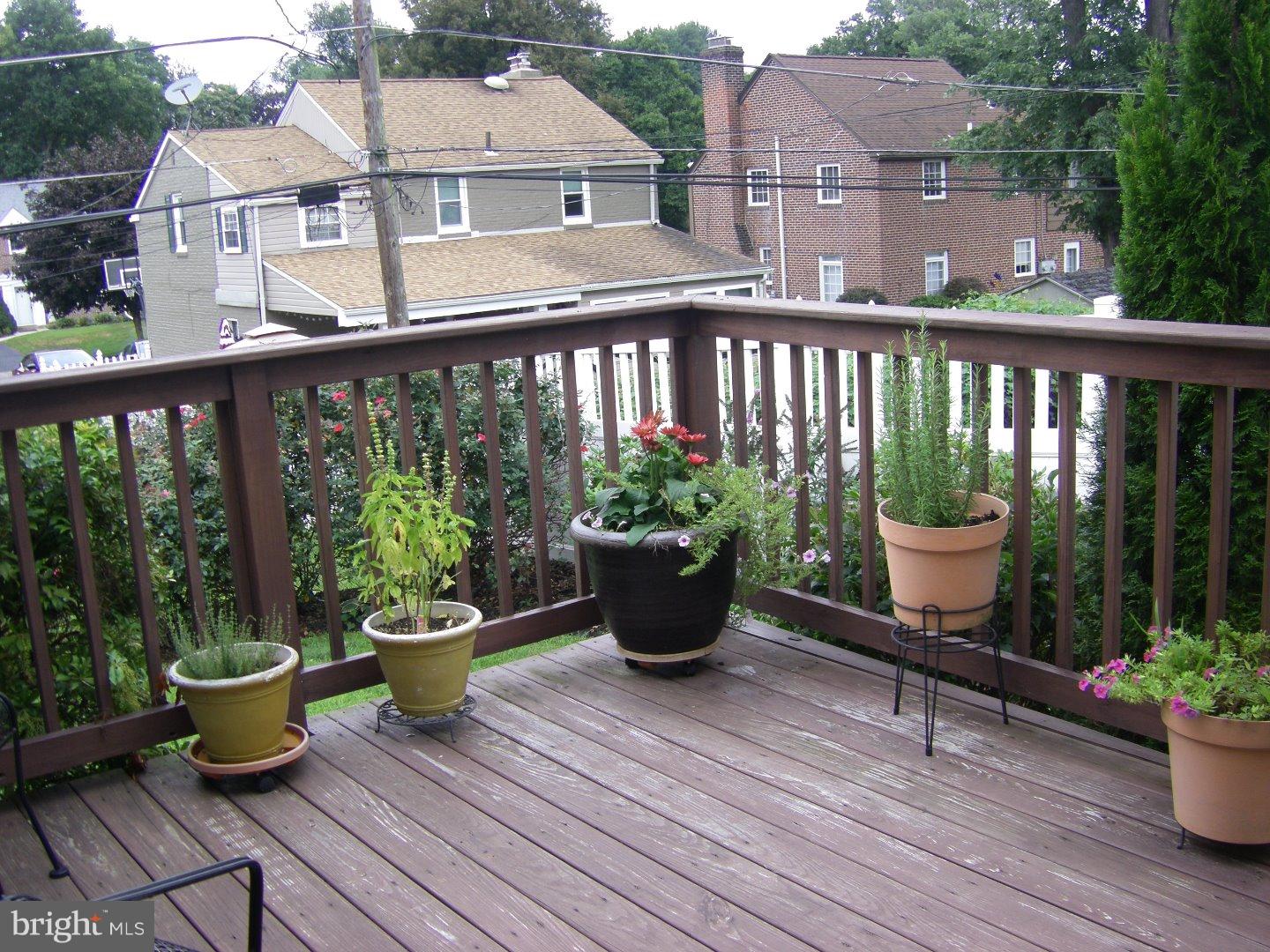 165 Friendship Road Drexel Hill, PA 19026 - Photo 4 of 25 Deck