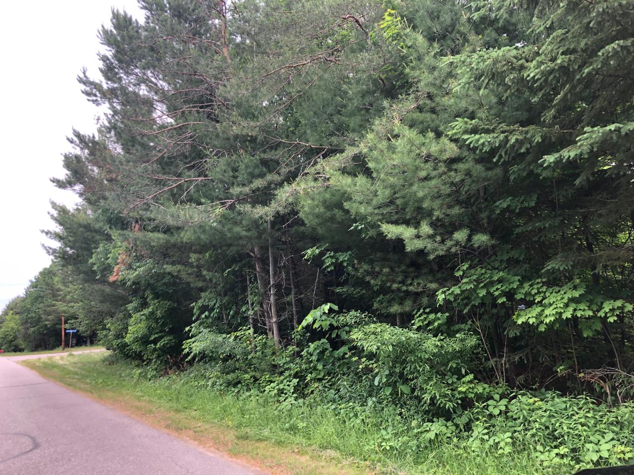 Three Bonack Loop, Unit LOT 16 Three Lakes, WI 54562 - Photo 1 of 4 Gallery Image 1