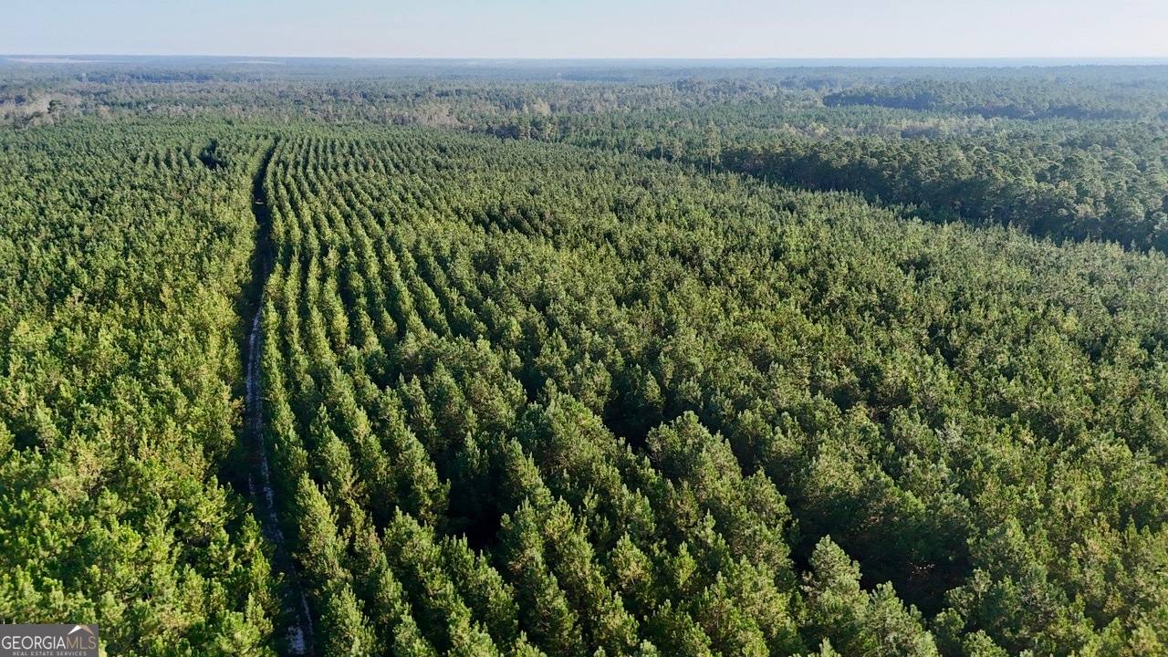 1 Penny Morris Road Baxley, GA 31513 - Photo 2 of 6 a view of a lush green forest with trees and some houses