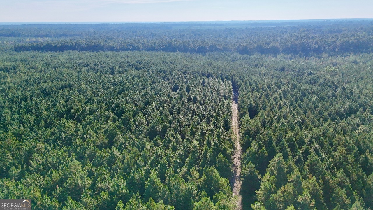 1 Penny Morris Road Baxley, GA 31513 - Photo 3 of 6 a view of a field of grass and trees