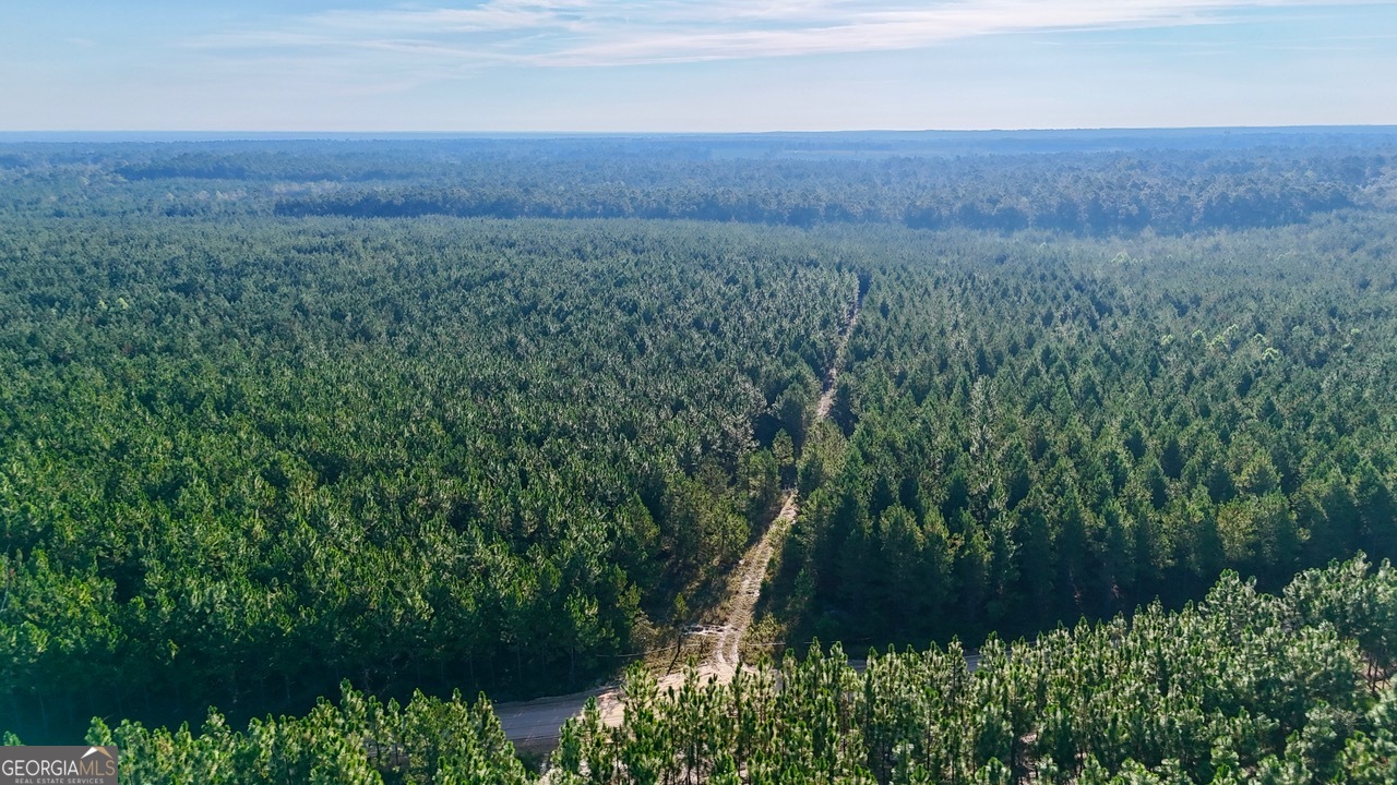 1 Penny Morris Road Baxley, GA 31513 - Photo 4 of 6 a view of outdoor space and green space
